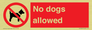 No dogs allowed